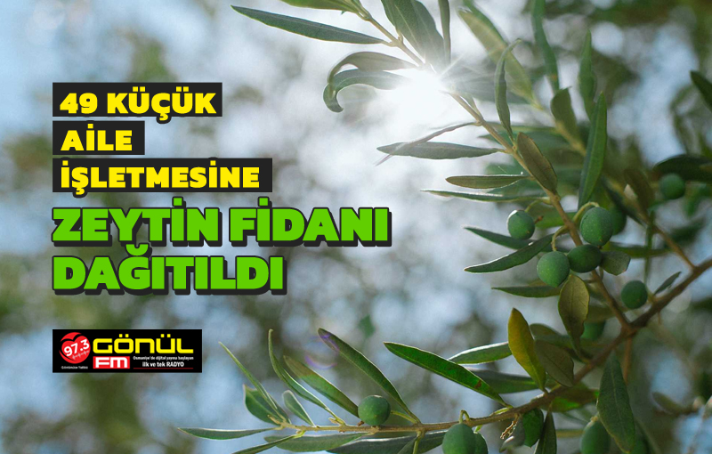 Osmaniye’de 49 küçük aile işletmesine zeytin fidanı dağıtıldı