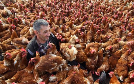 Ziraat teknikeri Kalay'ın iki fotoğrafı sergilenmeye değer bulundu